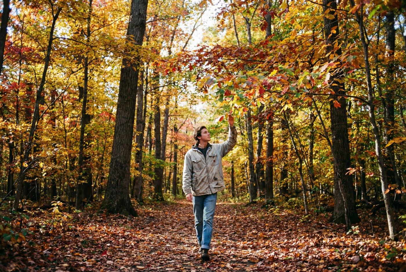 Pourquoi les feuilles changent de couleur en automne ?
